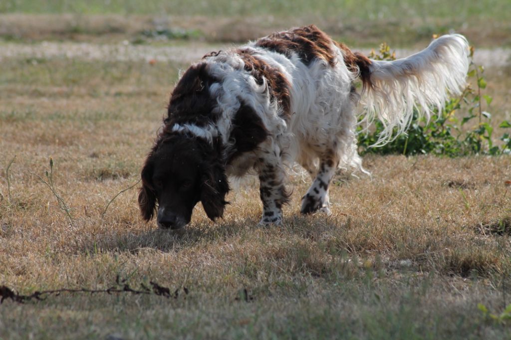 Indie De La Motte Joudry